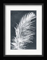 Feather 1 Dark Fine Art Print