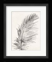 Feather 1 Light Fine Art Print