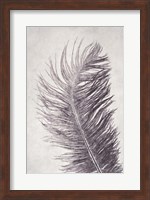 Feather 4 Light Fine Art Print