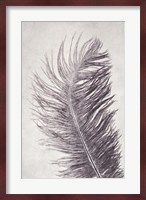 Feather 4 Light Fine Art Print