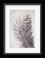 Feather 4 Light Fine Art Print