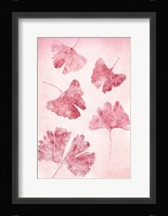 Ginkgo 4 Sorbet Fine Art Print