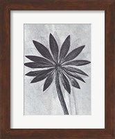 Lupine Smoke Fine Art Print
