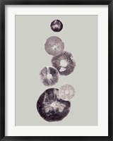 Mushroom Light Grey Fine Art Print