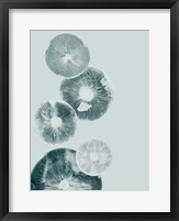 Mushroom Light Teal Fine Art Print