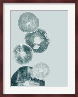 Mushroom Light Teal Fine Art Print