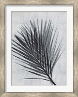 Palm 1 Grey Fine Art Print