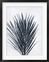 Palm 2 Grey Fine Art Print