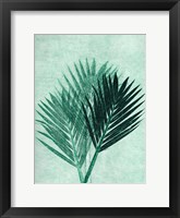 Palm 4 Green Fine Art Print