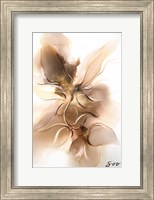 Golden Orchid Fine Art Print