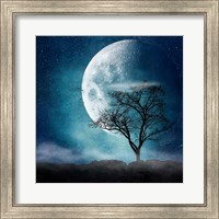 Moon Blues Fine Art Print