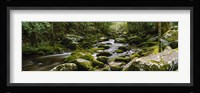 River running through a forest, Tennessee Fine Art Print