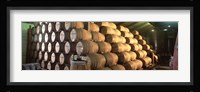 Napa Wine Country Stag's LeapWine Cellars Barrel Room Fine Art Print