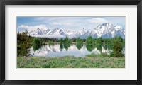 Spring Grand Teton National Park WY Fine Art Print