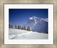Trees on a snow covered landscape, Switzerland Fine Art Print