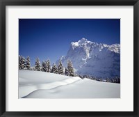 Trees on a snow covered landscape, Switzerland Fine Art Print