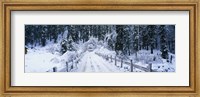 Snowy Bridge Lake Tahoe Fine Art Print