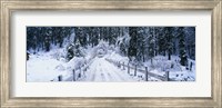 Snowy Bridge Lake Tahoe Fine Art Print