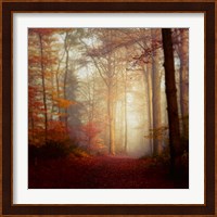 Fall Hike Fine Art Print