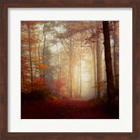 Fall Hike Fine Art Print