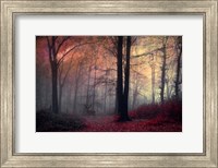 Forest Dream Fine Art Print