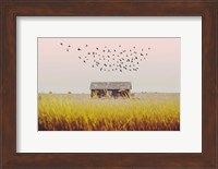 Harvest Barn Fine Art Print