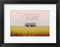 Harvest Barn Fine Art Print