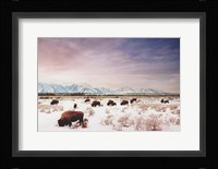 Herds of The Tetons Fine Art Print