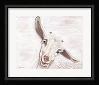 Willow Fine Art Print