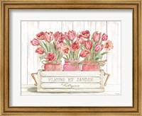 Trio of Pink Tulips Fine Art Print