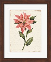 Poinsettia Botanical II Fine Art Print