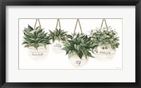 Inspirational Potted Plants Fine Art Print