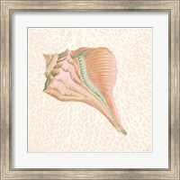 Miami Vibe Seashell 3 Fine Art Print