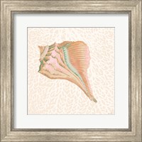 Miami Vibe Seashell 3 Fine Art Print