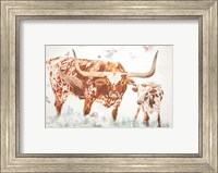 Longhorn and Calf Fine Art Print
