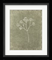 Floral I Framed Print