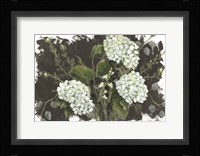 Hydrangeas in White Fine Art Print