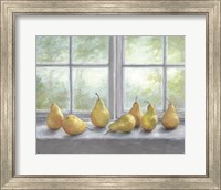 Pears on a Window Sill Fine Art Print