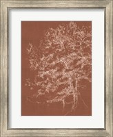 Timber in the Woods Fine Art Print