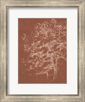 Timber in the Woods Fine Art Print