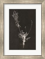 You Can't X-ray Beauty Fine Art Print