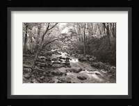 Little Pigeon River I Fine Art Print