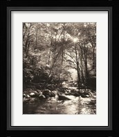 Little Pigeon River Portrait Fine Art Print