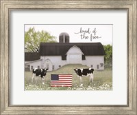 Land of the Free Cows Fine Art Print