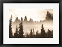 Fog in the Forest Fine Art Print