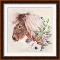 Paisley the Pony Fine Art Print