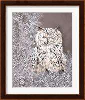 Oliver the Winter Owl Fine Art Print