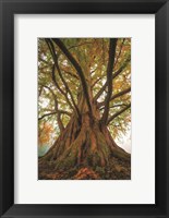 Tentacle Tree Fine Art Print