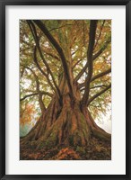 Tentacle Tree Fine Art Print