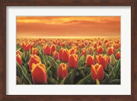 Tulips on Fire Fine Art Print